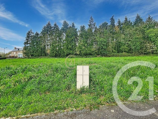 terrain à vendre - 806.0 m2 - DINGE - 35 - BRETAGNE - Century 21 Dréano Immobilier
