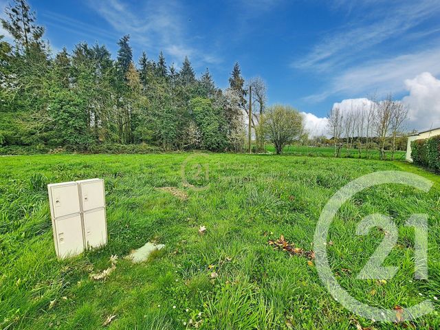 terrain à vendre - 806.0 m2 - DINGE - 35 - BRETAGNE - Century 21 Dréano Immobilier