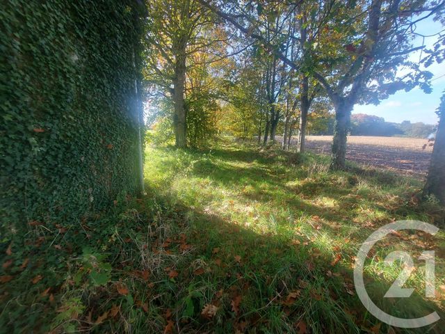 maison à vendre - 9 pièces - 250.0 m2 - HEDE BAZOUGES - 35 - BRETAGNE - Century 21 Dréano Immobilier