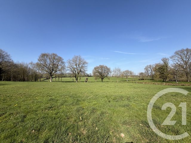 maison à vendre - 14 pièces - 383.9 m2 - NOYAL SOUS BAZOUGES - 35 - BRETAGNE - Century 21 Dréano Immobilier