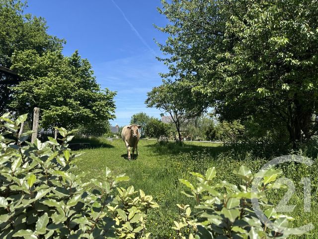 maison à vendre - 4 pièces - 88.3 m2 - BAZOUGES LA PEROUSE - 35 - BRETAGNE - Century 21 Dréano Immobilier