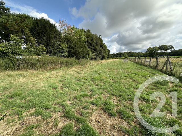 maison à vendre - 6 pièces - 190.5 m2 - ST LEGER DES PRES - 35 - BRETAGNE - Century 21 Dréano Immobilier