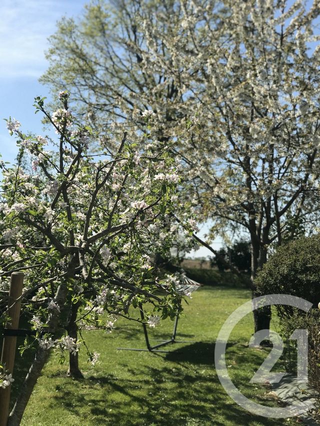 Afficher la photo en grand maison à vendre - 7 pièces - 150.0 m2 - MONTREUIL SUR ILLE - 35 - BRETAGNE - Century 21 Dréano Immobilier