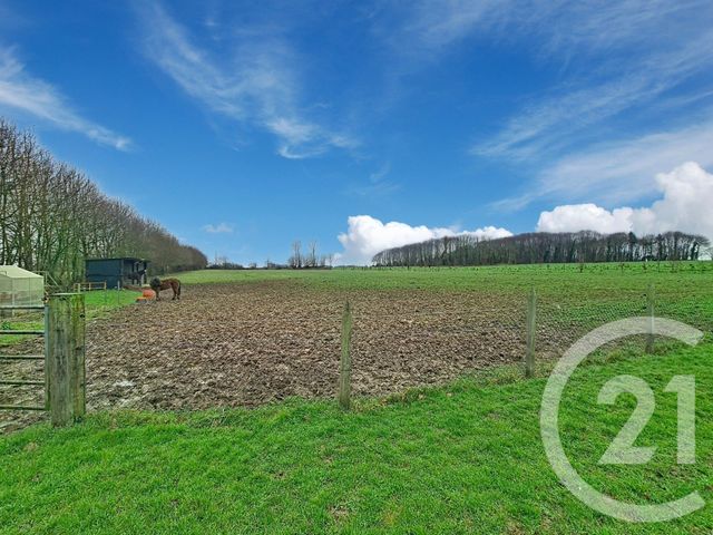 maison à vendre - 11 pièces - 162.0 m2 - PLEUGUENEUC - 35 - BRETAGNE - Century 21 Dréano Immobilier