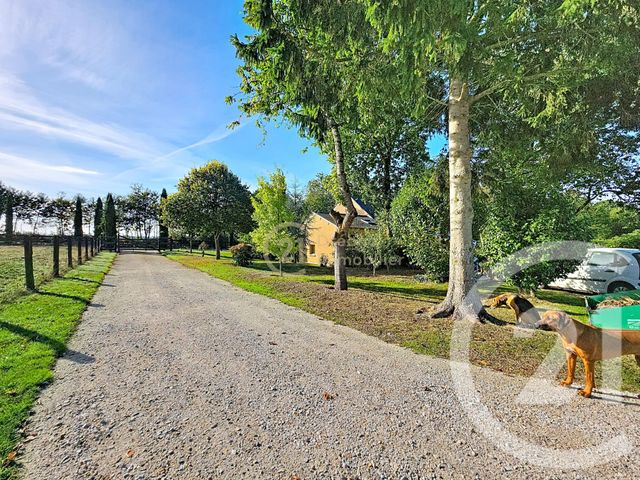 maison à vendre - 11 pièces - 162.0 m2 - PLEUGUENEUC - 35 - BRETAGNE - Century 21 Dréano Immobilier