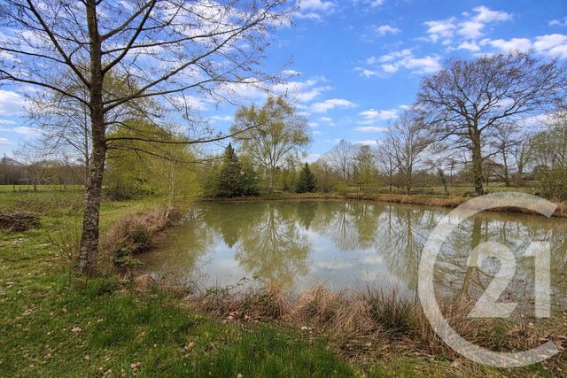 terrain à vendre - 5230.0 m2 - MARCILLE RAOUL - 35 - BRETAGNE - Century 21 Dréano Immobilier