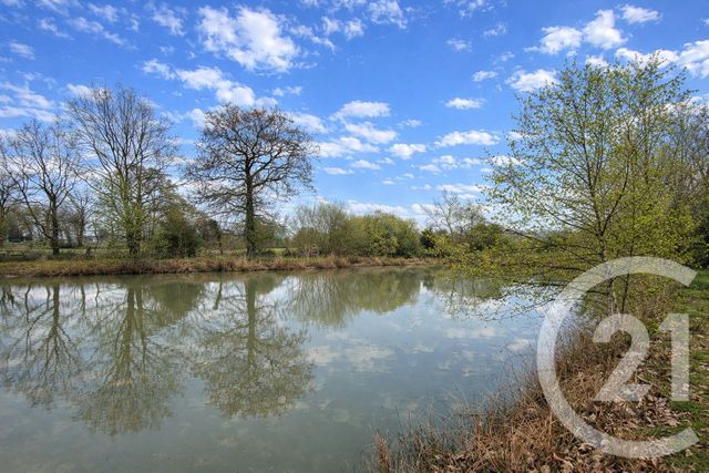 terrain à vendre - 5230.0 m2 - MARCILLE RAOUL - 35 - BRETAGNE - Century 21 Dréano Immobilier