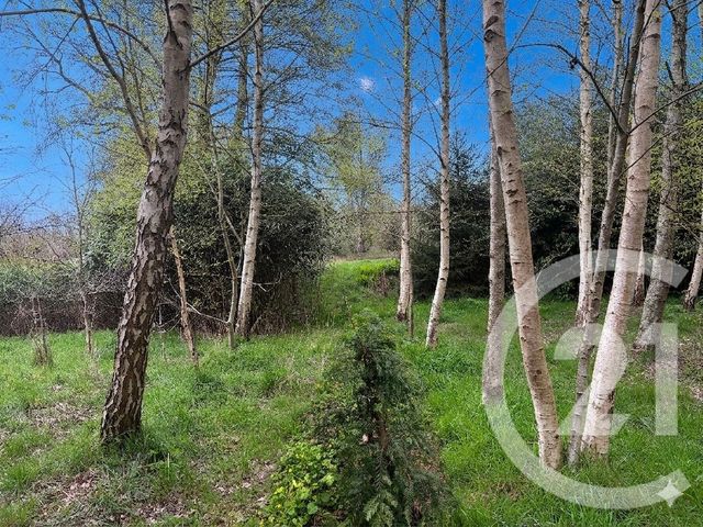 terrain à vendre - 5230.0 m2 - MARCILLE RAOUL - 35 - BRETAGNE - Century 21 Dréano Immobilier