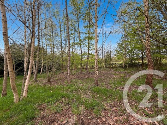 terrain à vendre - 5230.0 m2 - MARCILLE RAOUL - 35 - BRETAGNE - Century 21 Dréano Immobilier