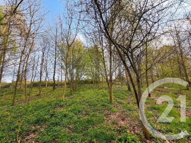 terrain à vendre - 5230.0 m2 - MARCILLE RAOUL - 35 - BRETAGNE - Century 21 Dréano Immobilier