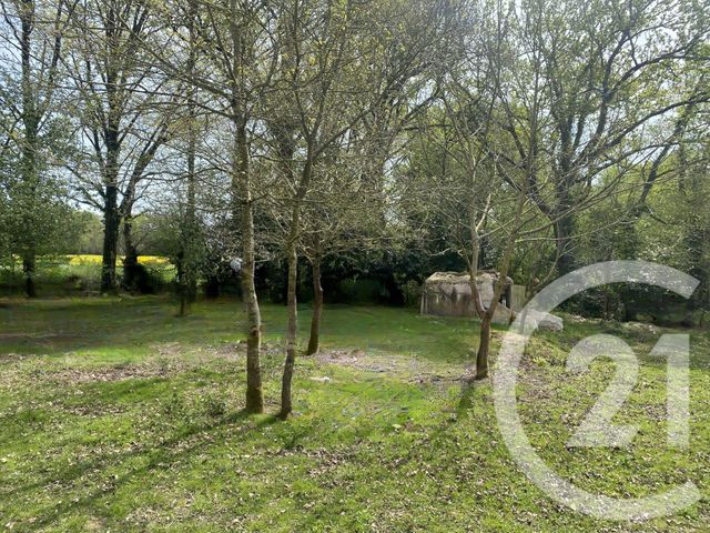 terrain à vendre - 5350.0 m2 - DINGE - 35 - BRETAGNE - Century 21 Dréano Immobilier