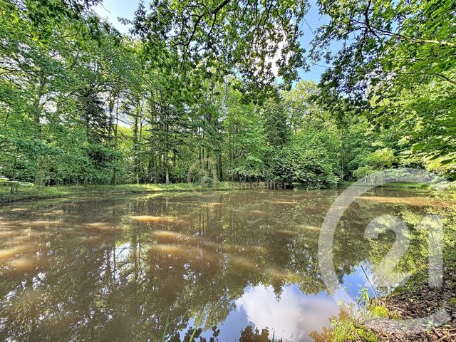 terrain à vendre - 8320.0 m2 - ST PIERRE DE PLESGUEN - 35 - BRETAGNE - Century 21 Dréano Immobilier