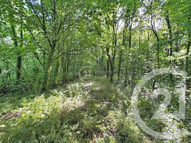 terrain à vendre - 8320.0 m2 - ST PIERRE DE PLESGUEN - 35 - BRETAGNE - Century 21 Dréano Immobilier