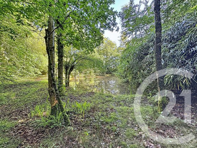terrain à vendre - 8320.0 m2 - ST PIERRE DE PLESGUEN - 35 - BRETAGNE - Century 21 Dréano Immobilier