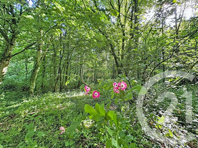 terrain à vendre - 8320.0 m2 - ST PIERRE DE PLESGUEN - 35 - BRETAGNE - Century 21 Dréano Immobilier