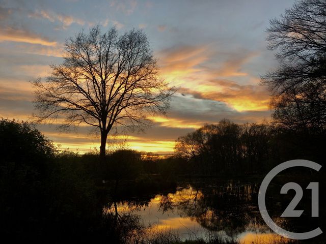 terrain à vendre - 65904.0 m2 - COMBOURG - 35 - BRETAGNE - Century 21 Dréano Immobilier