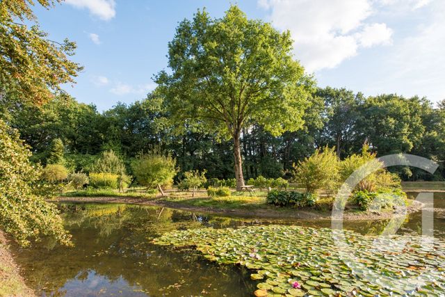 terrain à vendre - 65904.0 m2 - COMBOURG - 35 - BRETAGNE - Century 21 Dréano Immobilier