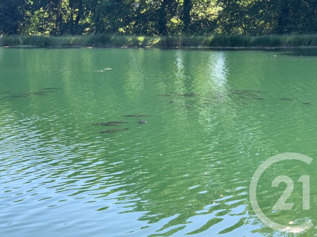 terrain à vendre - 65904.0 m2 - COMBOURG - 35 - BRETAGNE - Century 21 Dréano Immobilier