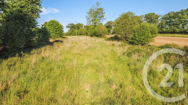 terrain à vendre - 4010.0 m2 - LANRIGAN - 35 - BRETAGNE - Century 21 Dréano Immobilier