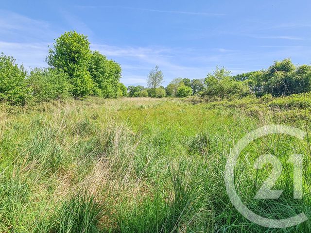 terrain à vendre - 4010.0 m2 - LANRIGAN - 35 - BRETAGNE - Century 21 Dréano Immobilier