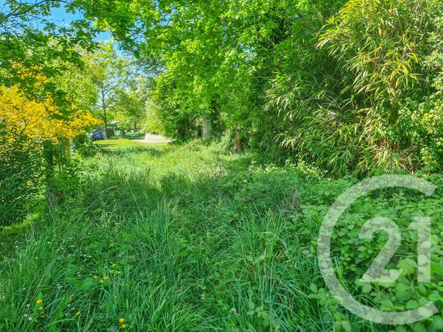 terrain à vendre - 4010.0 m2 - LANRIGAN - 35 - BRETAGNE - Century 21 Dréano Immobilier