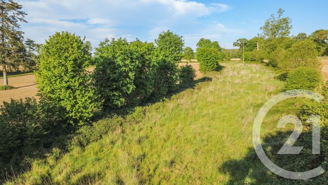 terrain à vendre - 4010.0 m2 - LANRIGAN - 35 - BRETAGNE - Century 21 Dréano Immobilier
