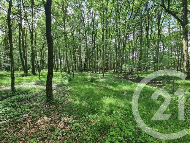 terrain à vendre - 27800.0 m2 - COMBOURG - 35 - BRETAGNE - Century 21 Dréano Immobilier