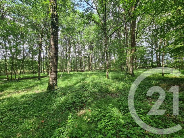 terrain à vendre - 27800.0 m2 - COMBOURG - 35 - BRETAGNE - Century 21 Dréano Immobilier