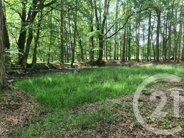 terrain à vendre - 27800.0 m2 - COMBOURG - 35 - BRETAGNE - Century 21 Dréano Immobilier