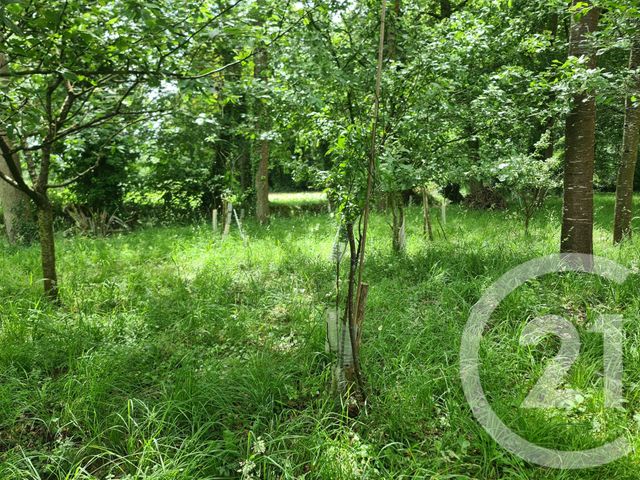 terrain à vendre - 27800.0 m2 - COMBOURG - 35 - BRETAGNE - Century 21 Dréano Immobilier
