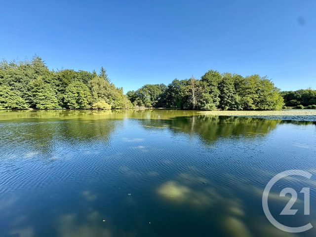 divers à vendre - 50000.0 m2 - CUGUEN - 35 - BRETAGNE - Century 21 Dréano Immobilier