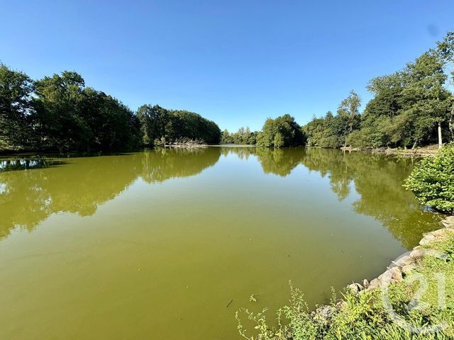 divers à vendre - 50000.0 m2 - CUGUEN - 35 - BRETAGNE - Century 21 Dréano Immobilier
