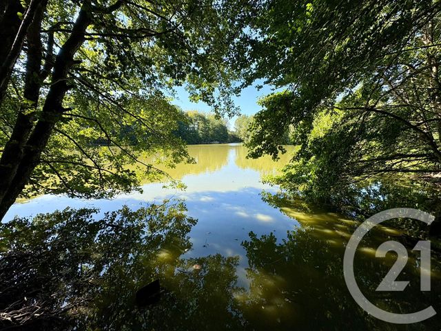 divers à vendre - 50000.0 m2 - CUGUEN - 35 - BRETAGNE - Century 21 Dréano Immobilier