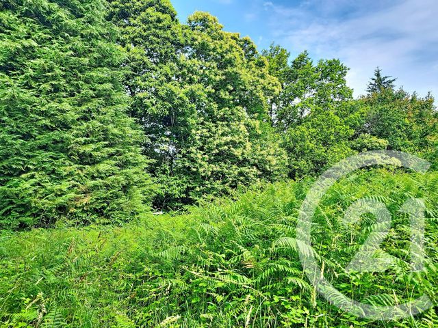 terrain à vendre - 5900.0 m2 - QUEBRIAC - 35 - BRETAGNE - Century 21 Dréano Immobilier