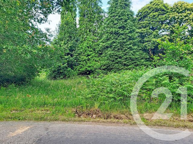 terrain à vendre - 5900.0 m2 - QUEBRIAC - 35 - BRETAGNE - Century 21 Dréano Immobilier