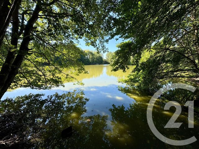 terrain à vendre - 64000.0 m2 - CUGUEN - 35 - BRETAGNE - Century 21 Dréano Immobilier
