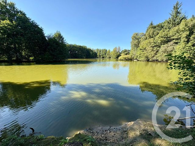 terrain à vendre - 64000.0 m2 - CUGUEN - 35 - BRETAGNE - Century 21 Dréano Immobilier