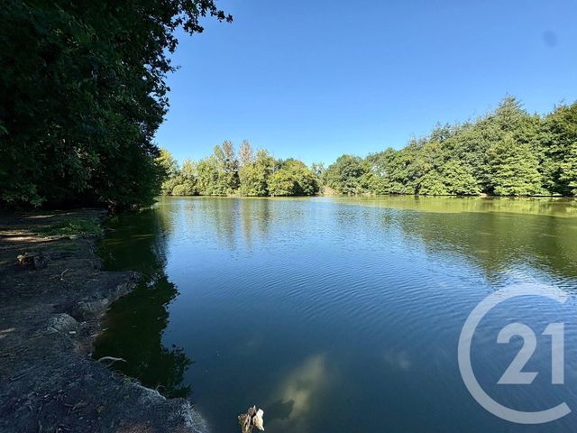 terrain à vendre - 64000.0 m2 - CUGUEN - 35 - BRETAGNE - Century 21 Dréano Immobilier