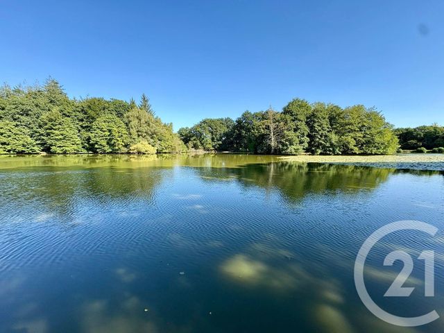 terrain à vendre - 64000.0 m2 - CUGUEN - 35 - BRETAGNE - Century 21 Dréano Immobilier