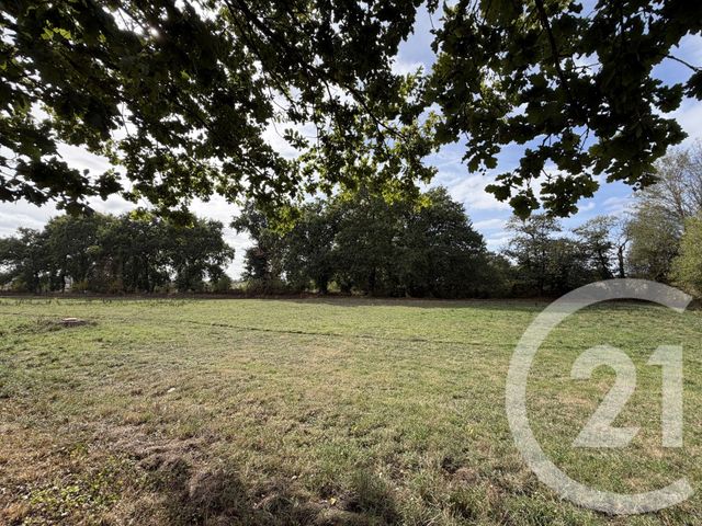 maison à vendre - 11 pièces - 200.0 m2 - BAZOUGES LA PEROUSE - 35 - BRETAGNE - Century 21 Dréano Immobilier